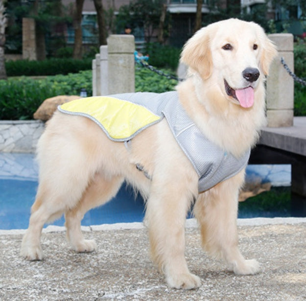 Cooling vest for dogs product photo flat lay