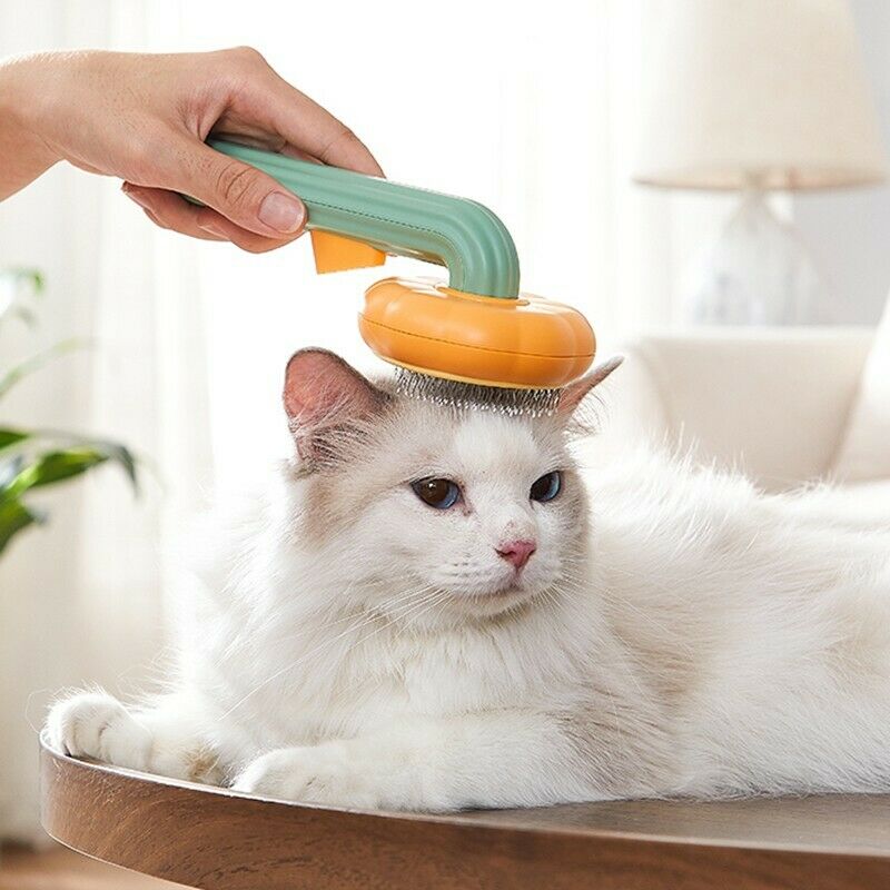 Self-cleaning pumpkin slicker brush in use grooming a dog