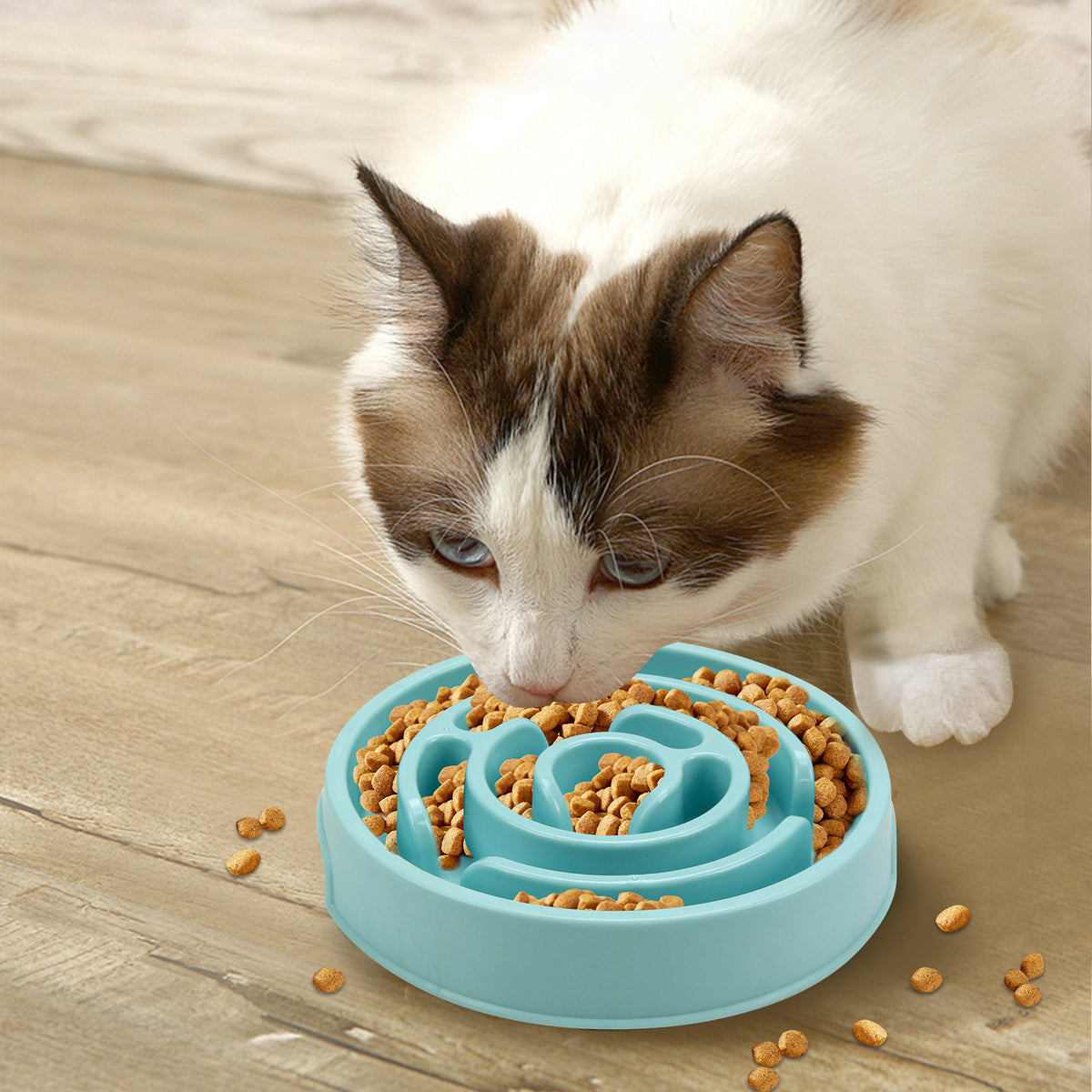 Slow feeder dog bowl bundle of 2